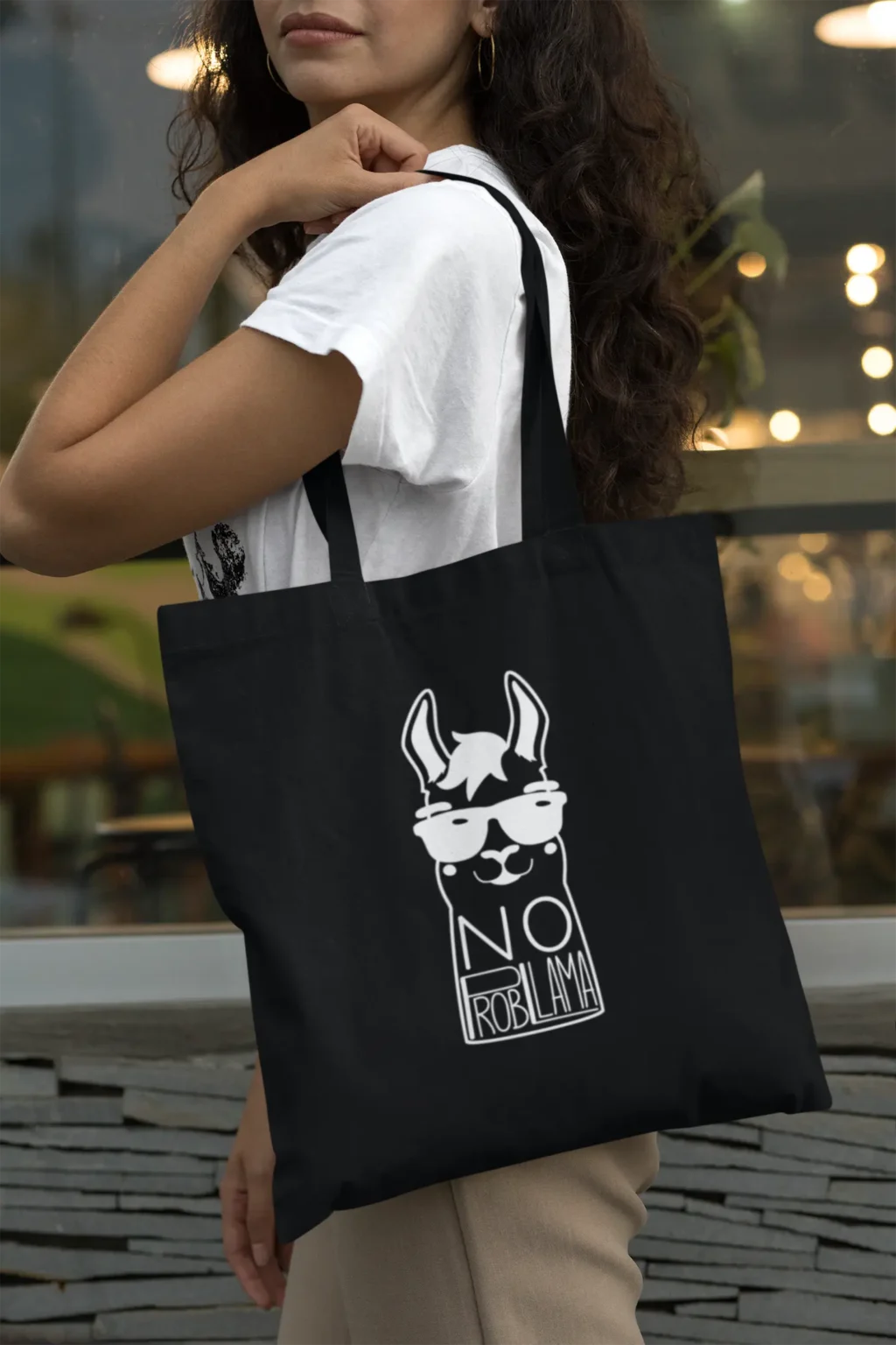 NOprobLAMA