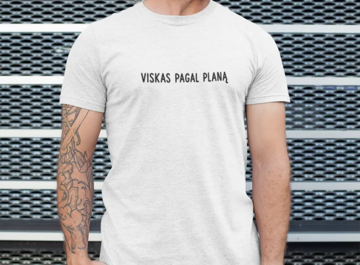 Viskas pagal planą